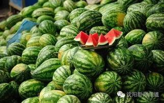 泰国西瓜最新爆料,揭秘神秘事件背后的真相  第2张